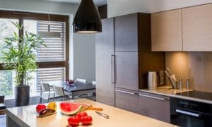 Annonces immobilieres dans la region de Thonon-les-Bains 