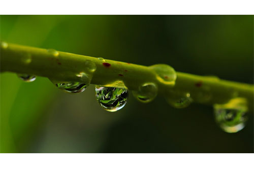 Eau de pluie