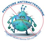 Fonction antibacterienne