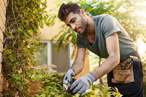 entretien jardin a un professionnel